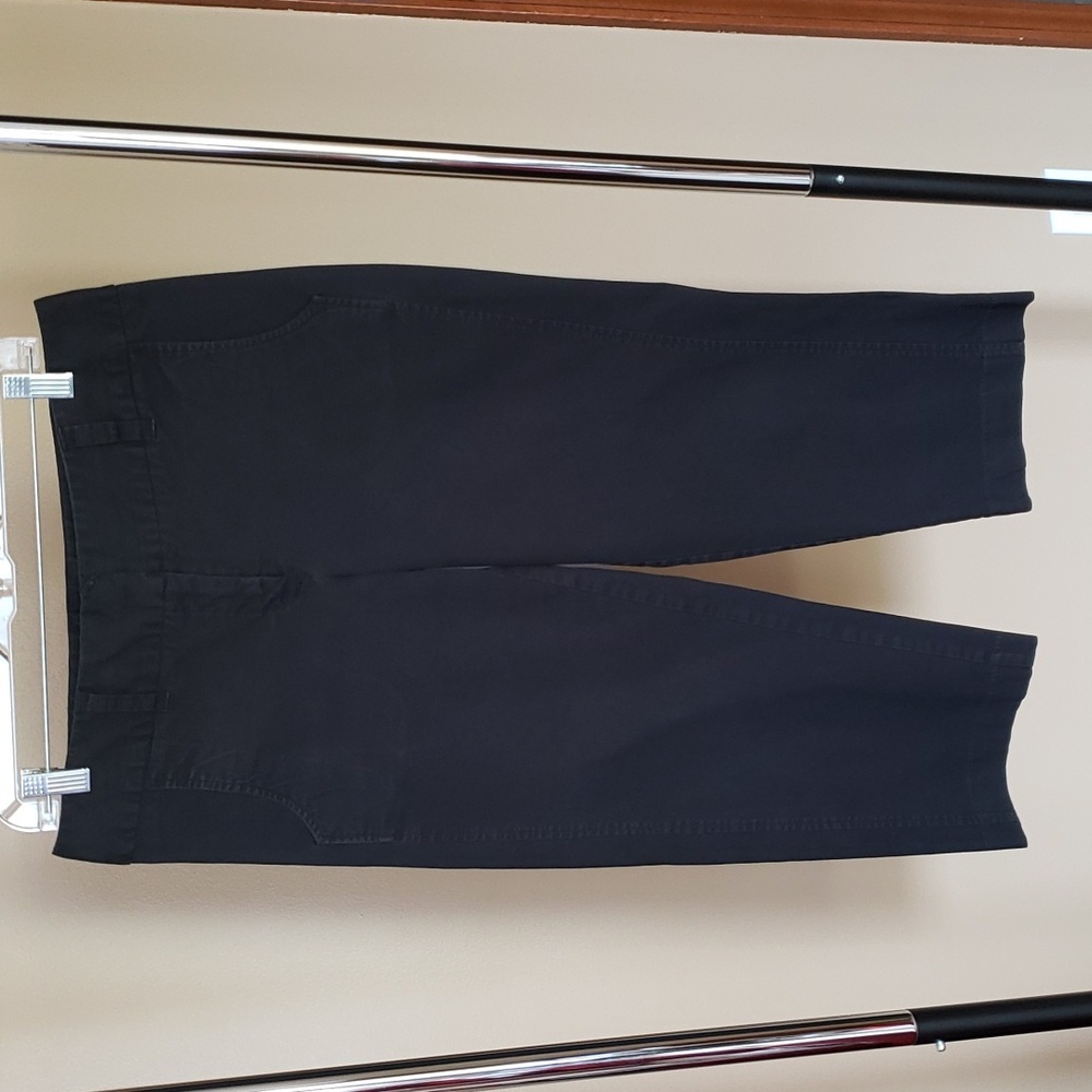 Daisy Fuentes Capri Pants
